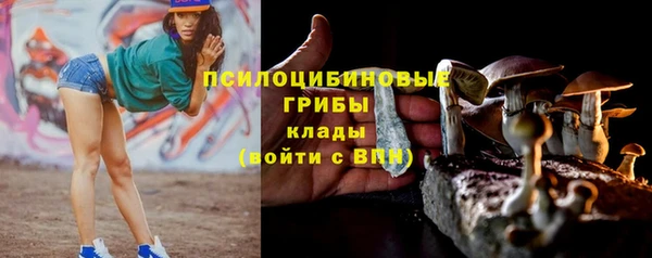 метадон Абаза