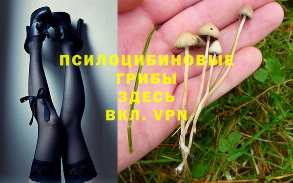 каннабис Абдулино