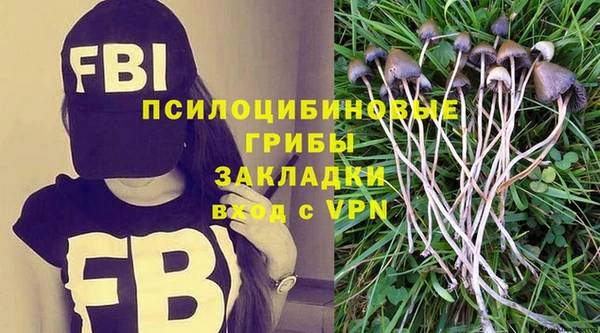 метадон Абаза