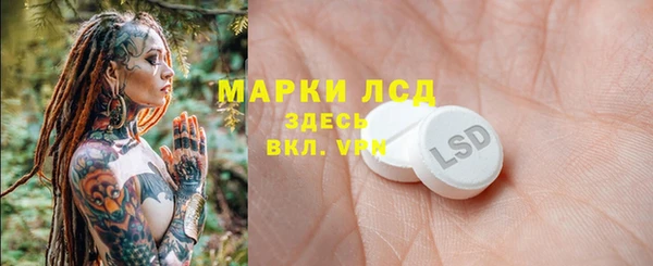 гидра Алексеевка